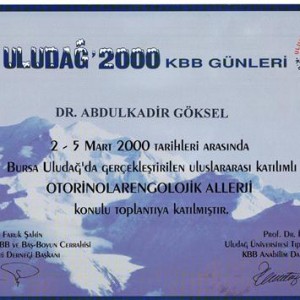 Uludağ 2000 KBB Günleri - 2-5 Mart 2000
