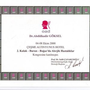 2. Kulak Burun Boğaz'da Alerjik Hastalıklar